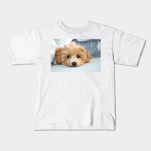 Sleepy Maltipoo Puppy Kids T-Shirt by Furtographic